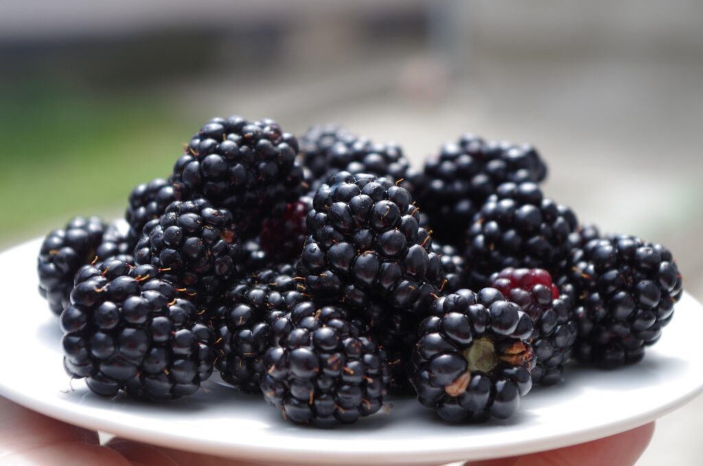 1739516039-blackberries-1045728_1920-1024x678.jpg