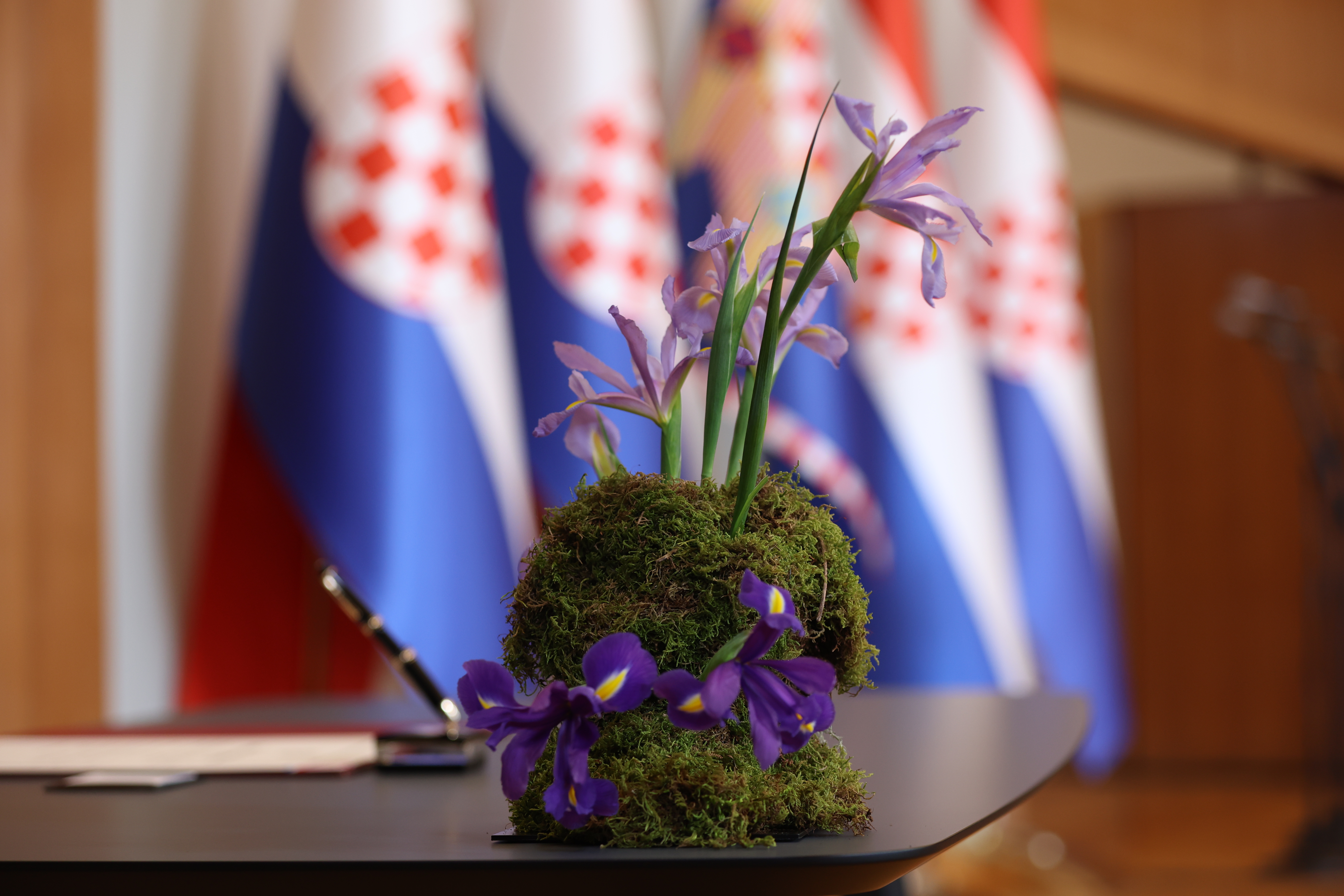 HINA/ POOL/ Lana SLIVAR DOMINIĆ/ Damir SENČAR/ ds