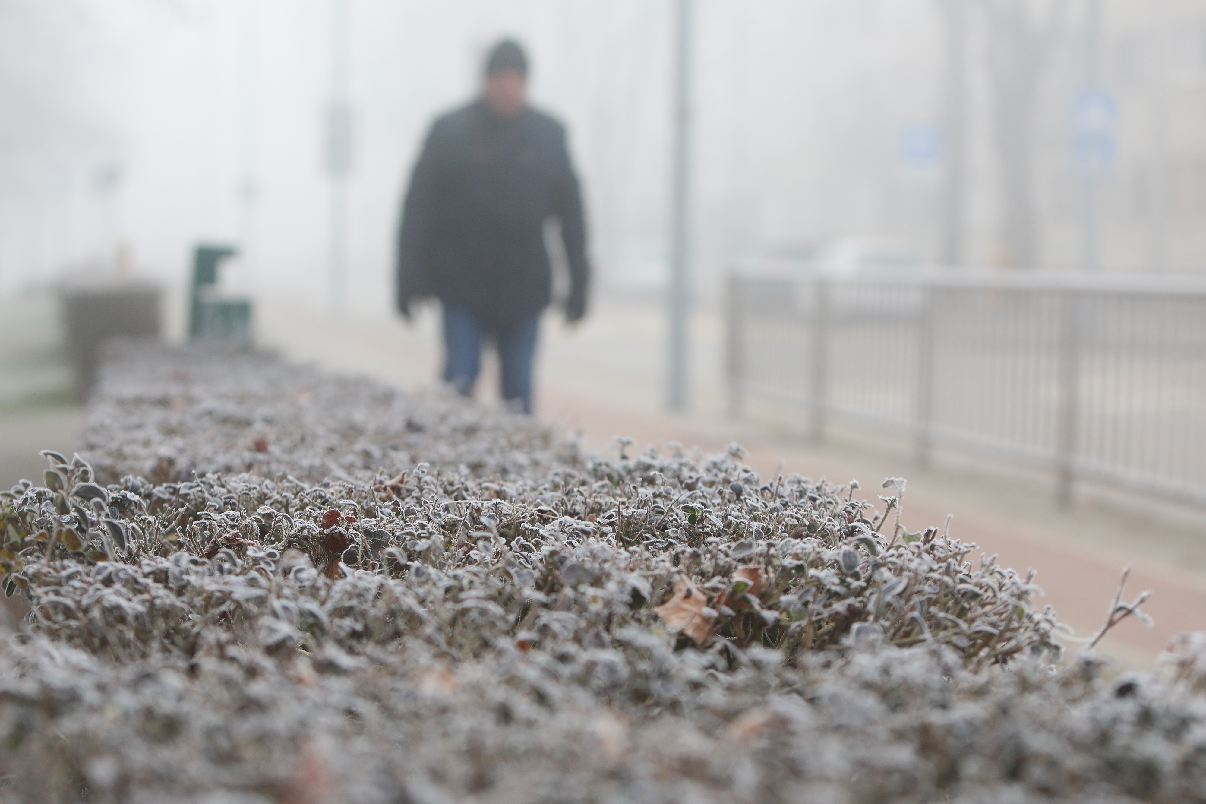 Karlovac: Debeli minusi diljem zemlje