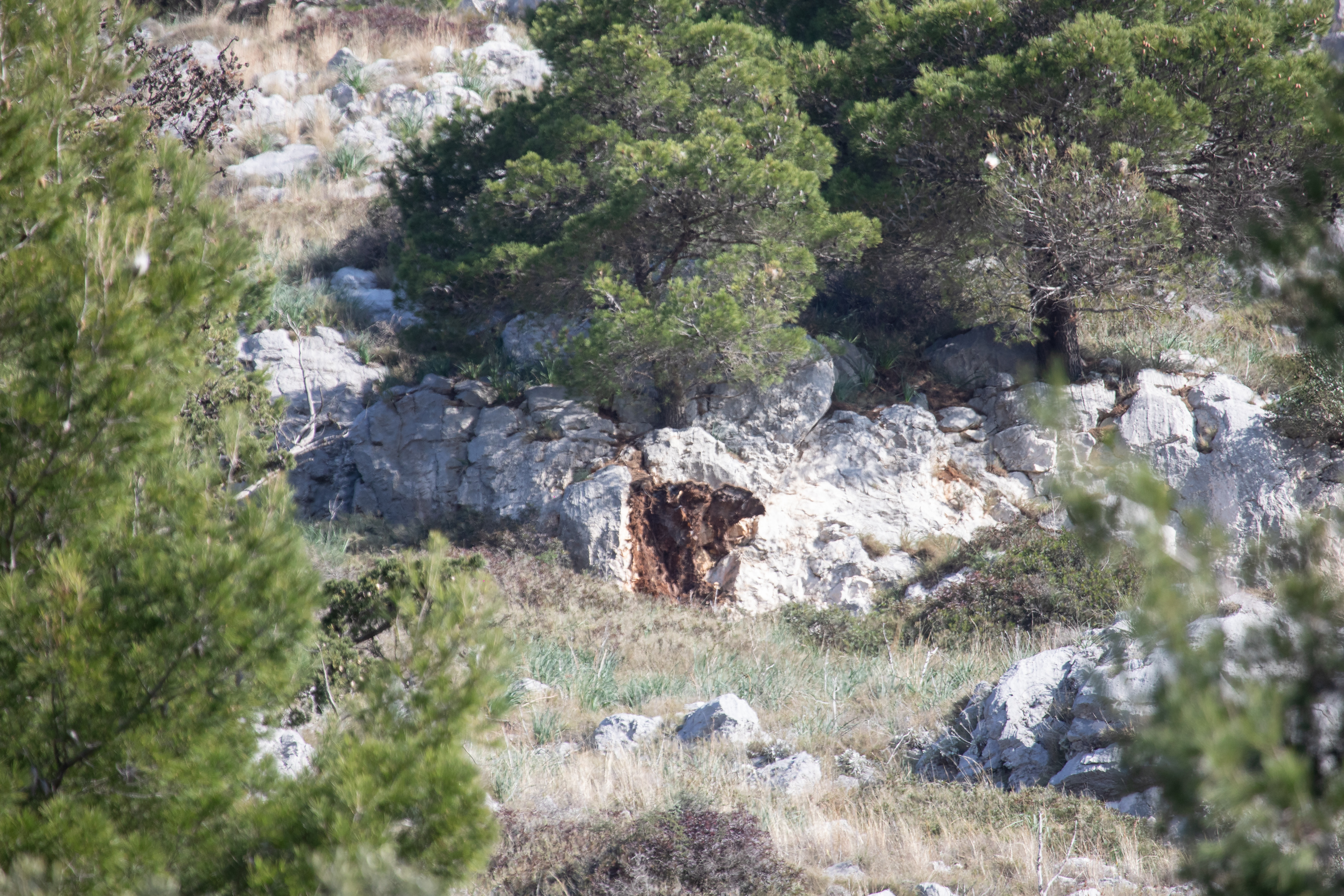 Stijena se odlomila i pala na kombi na magistrali kod Dubrovnika