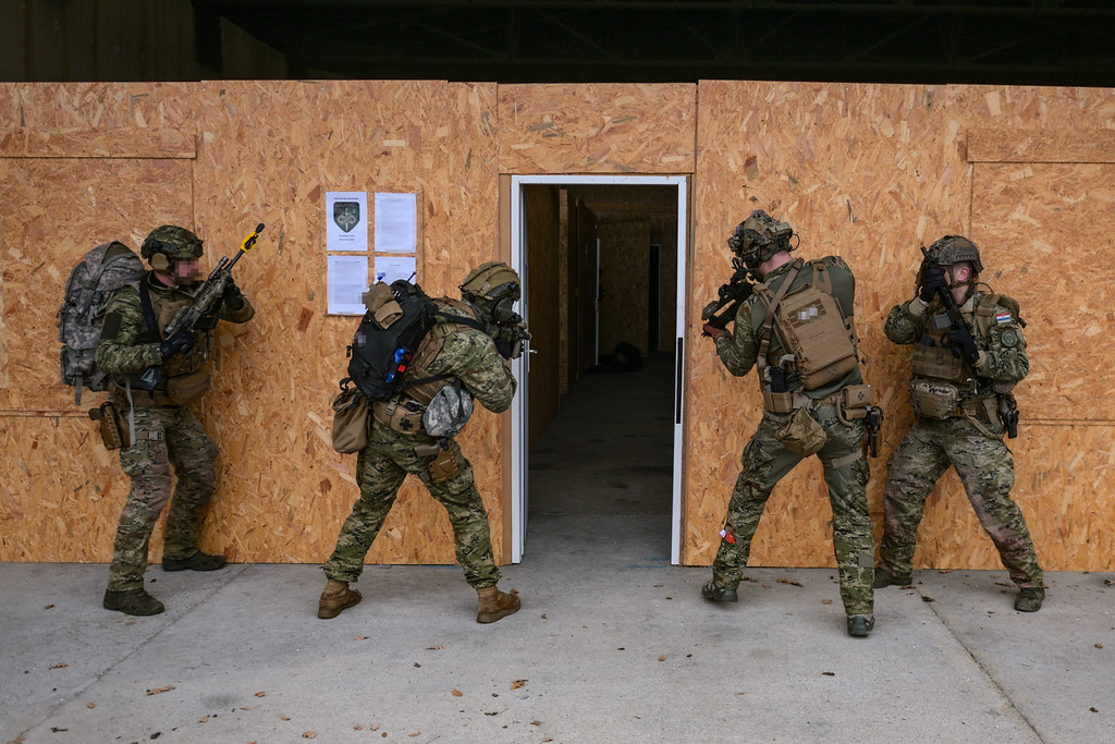 54343002538_9db18386a3_b