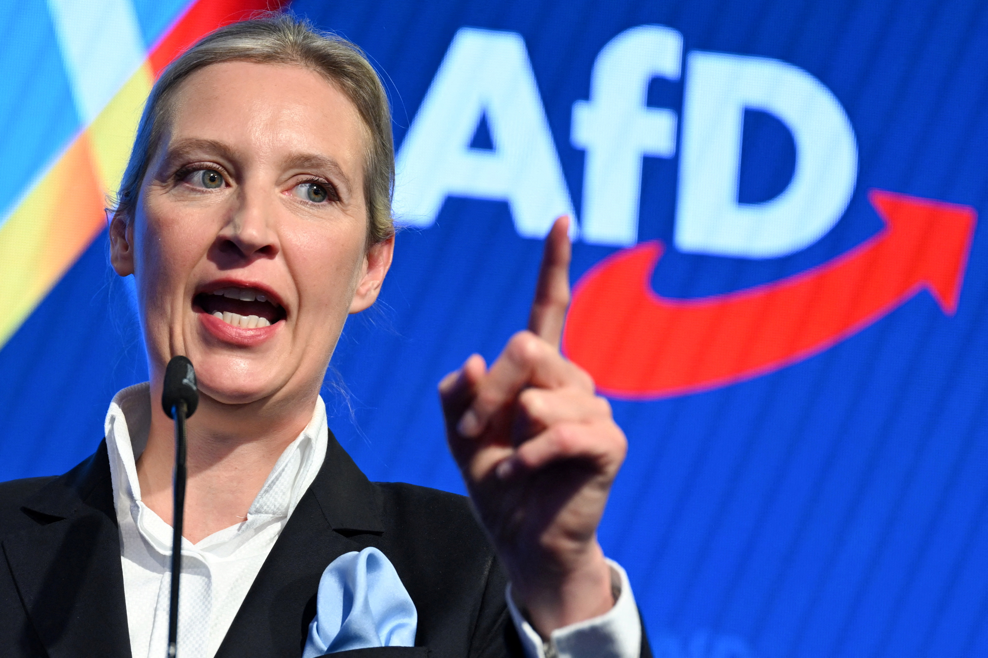 Alice Weidel