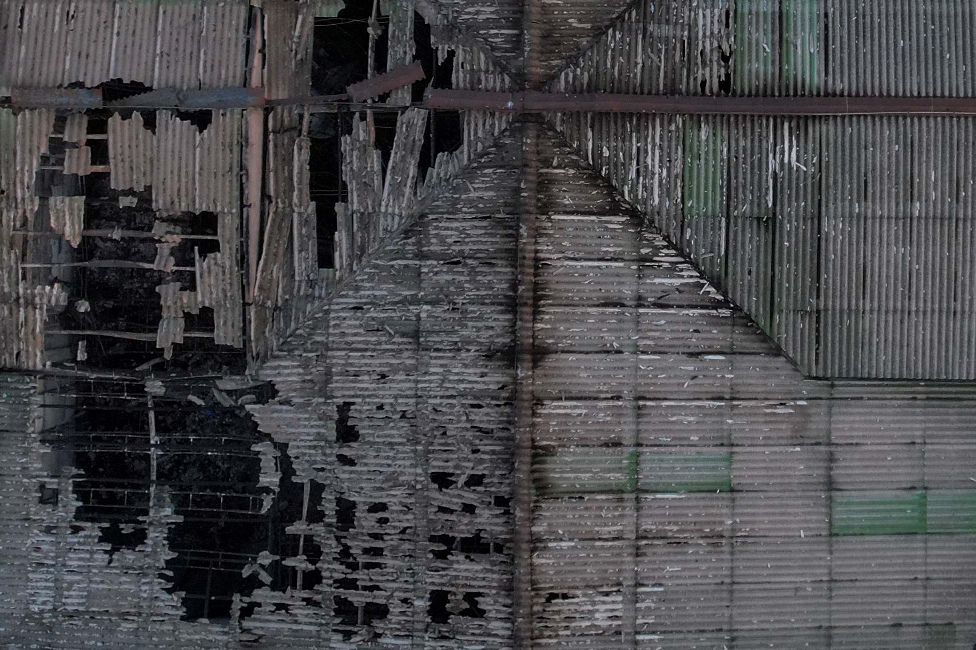 kočani diskoteka makedonija