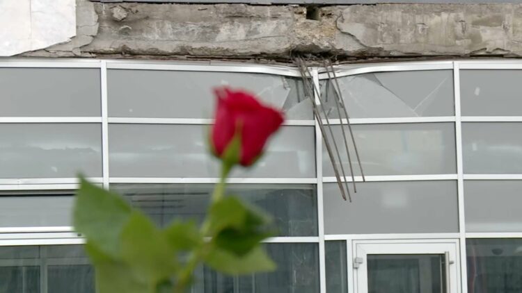 nadstrešnica, novi sad, u novom sadu