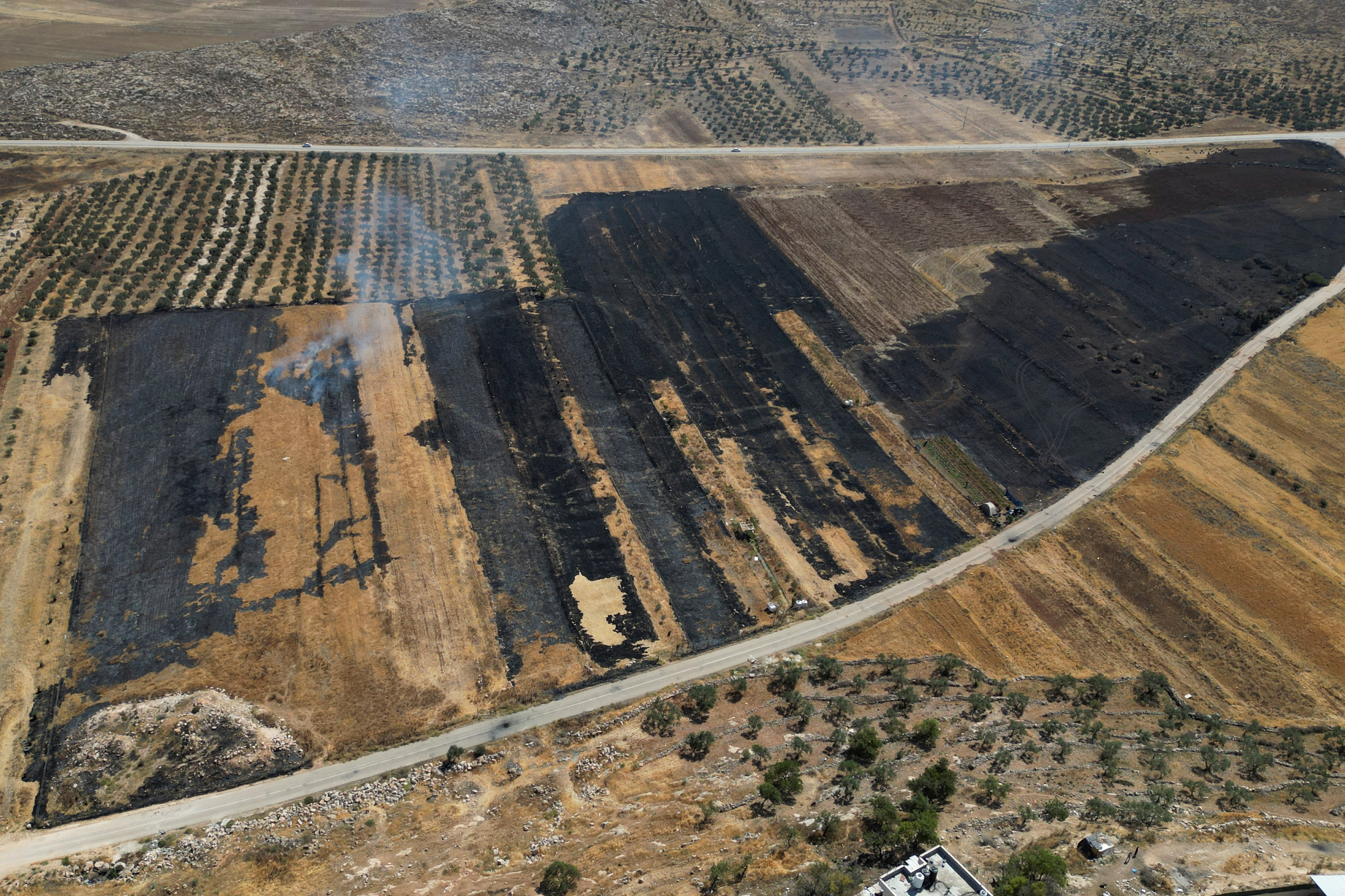 zapadna obala, palestina, REUTERS 29.5.2025.