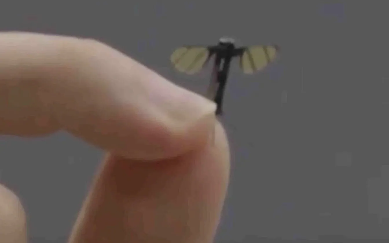 TELEMMGLPICT000429730784_17506700824890_trans_NvBQzQNjv4Bq4ISbyyrtIk5os5bMPZ7FAImTb2nHTjkE5Rz2tDEoybs