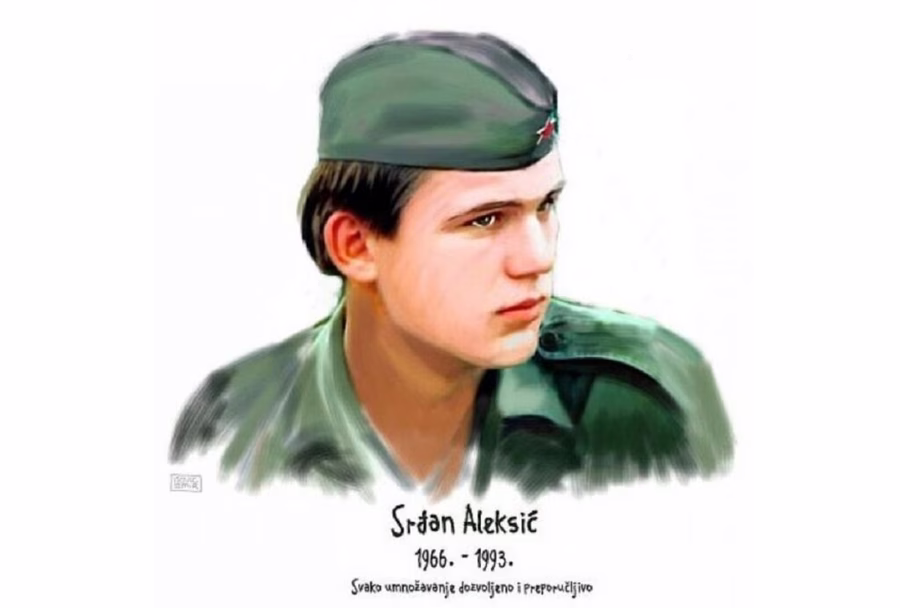 nagrada srđan aleksić