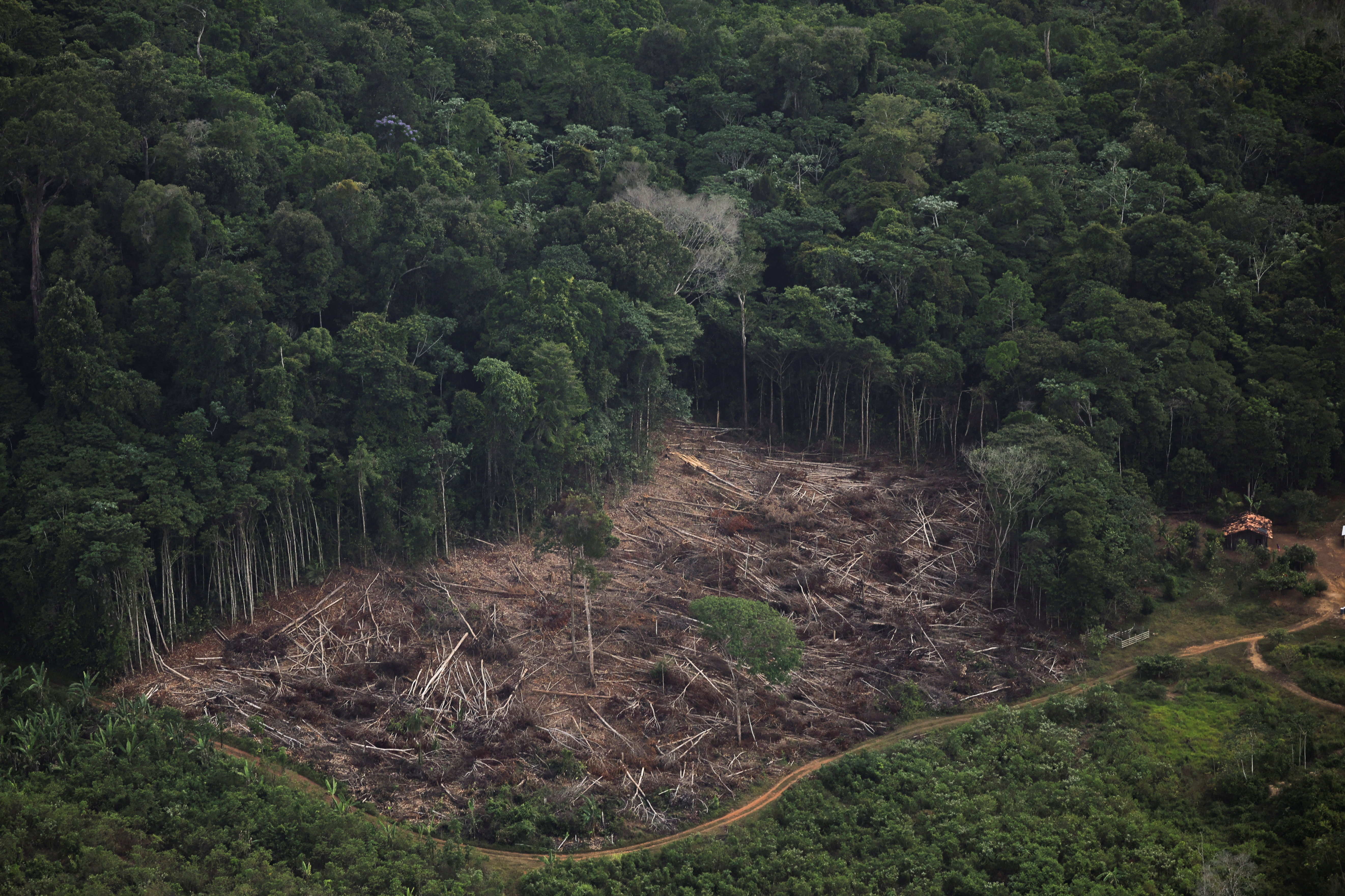 An aerial view shows a deforested plot of the Amazon during a Greenpeace flyover amid the UN Climate Change Conference (COP30), near Cachoeira do Piria