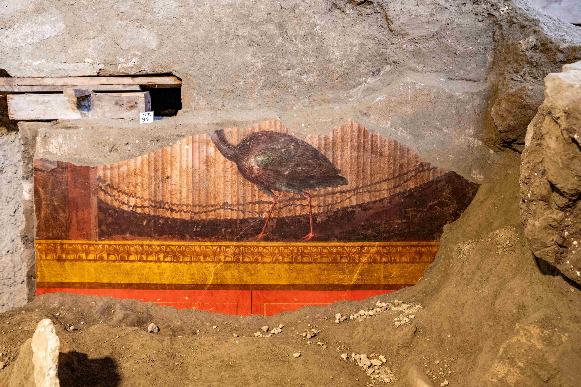 A fresco of a peacock unearthed at the Villa Poppaea in Oplontis, on the outskirts of the ancient Roman city of Pompeii