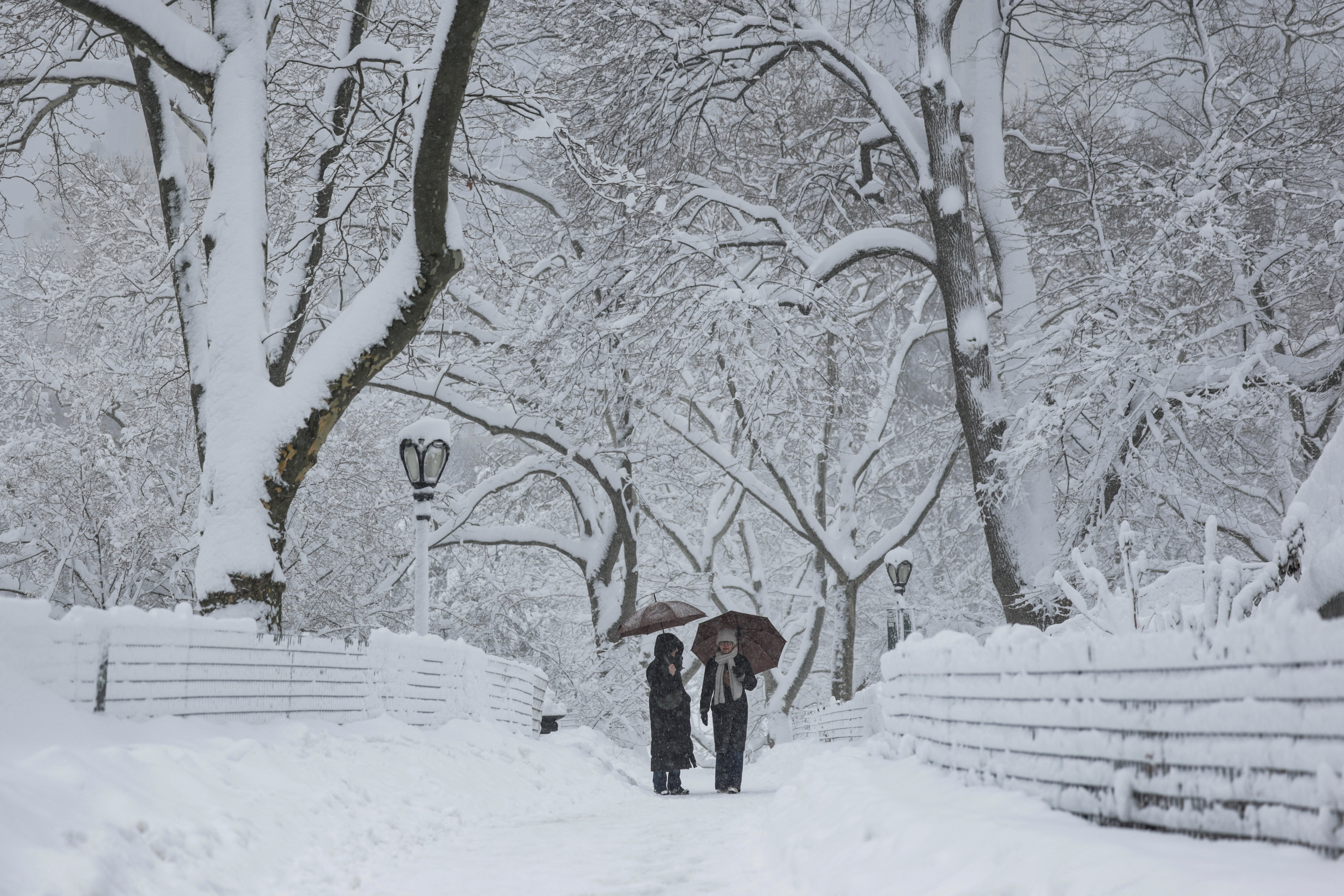 People walk at Central Park as snow falls during a winter storm in New York City, U.S., February 23, 2026. REUTERS/Jeenah Moon