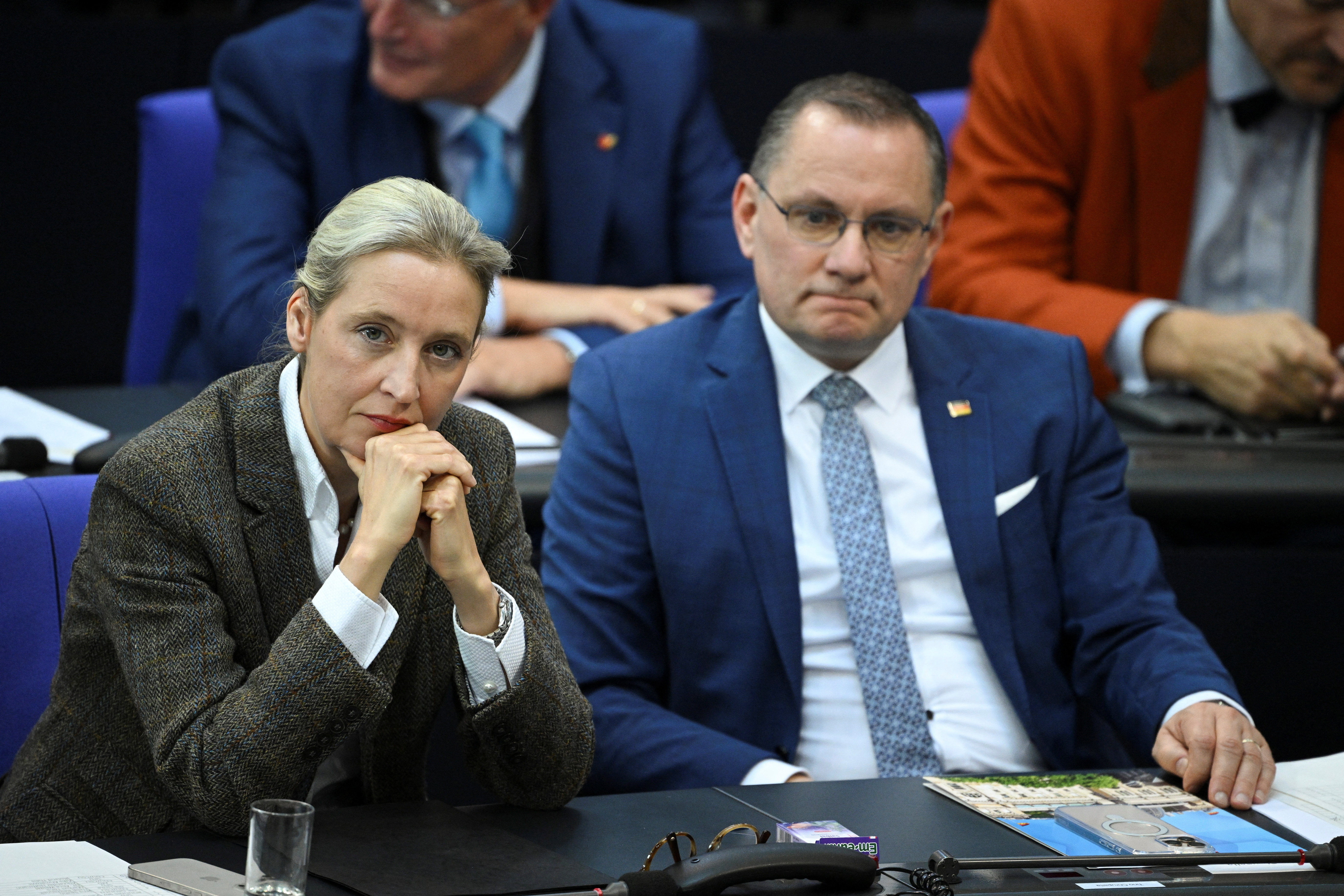 Alice Weidel, Tino Chrupalla, AfD