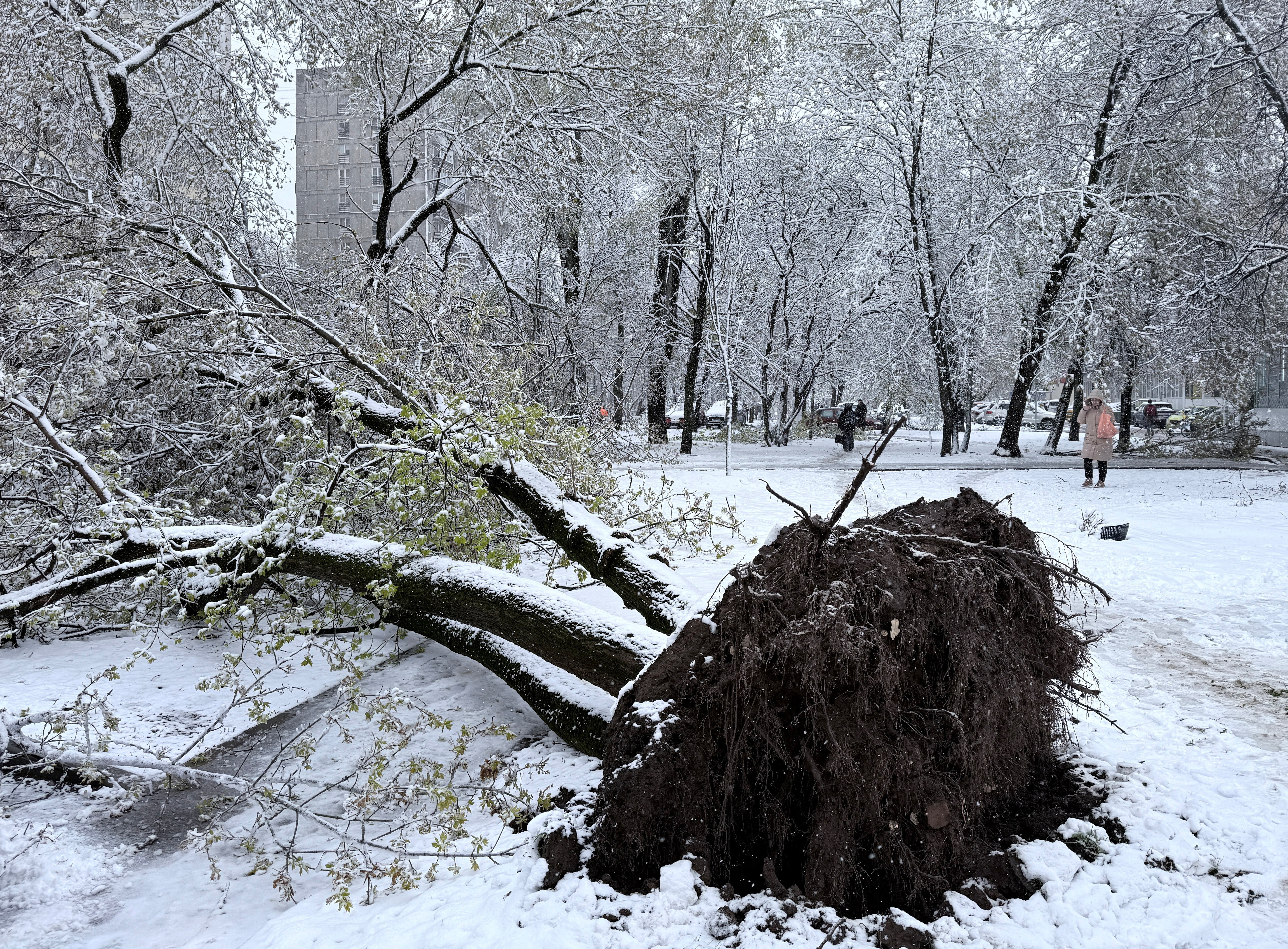 2026-04-27T080940Z_85616560_RC2IXKAOGQ3C_RTRMADP_3_EUROPE-WEATHER-MOSCOW-SNOW