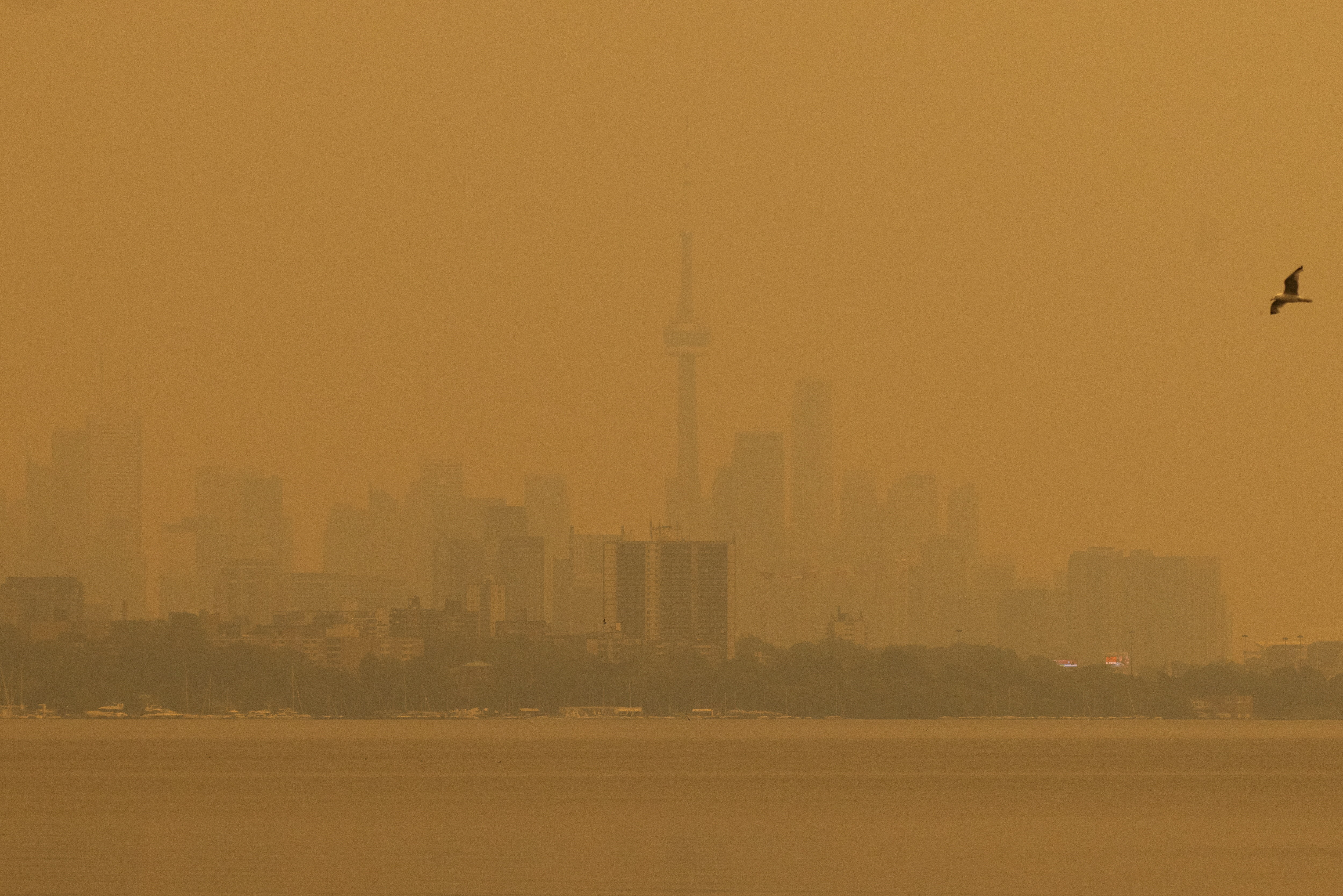 Wildfire smoke from northwestern Ontario, combined with an intense heat wave, fills the sky, prompting health warnings and calls for residents to limit outdoor activity in Toronto, Ontario, Canada, July 15, 2026. REUTERS/Carlos Osorio