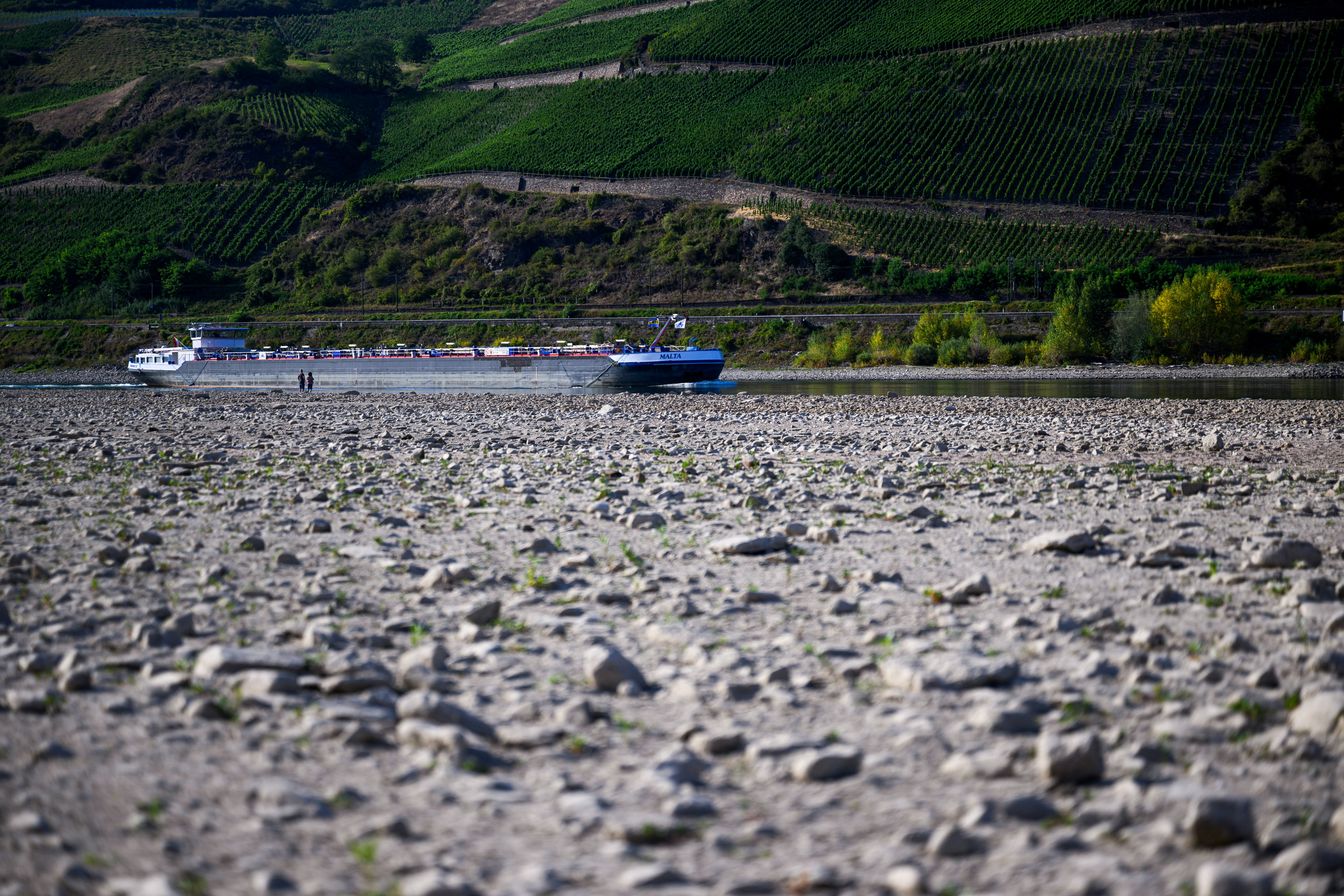 Two people watch a ship pass by on the partially dried riverbed due to low water levels in Osterspai near Koblenz, Germany, August 1, 2026. REUTERS/Jana Rodenbusch