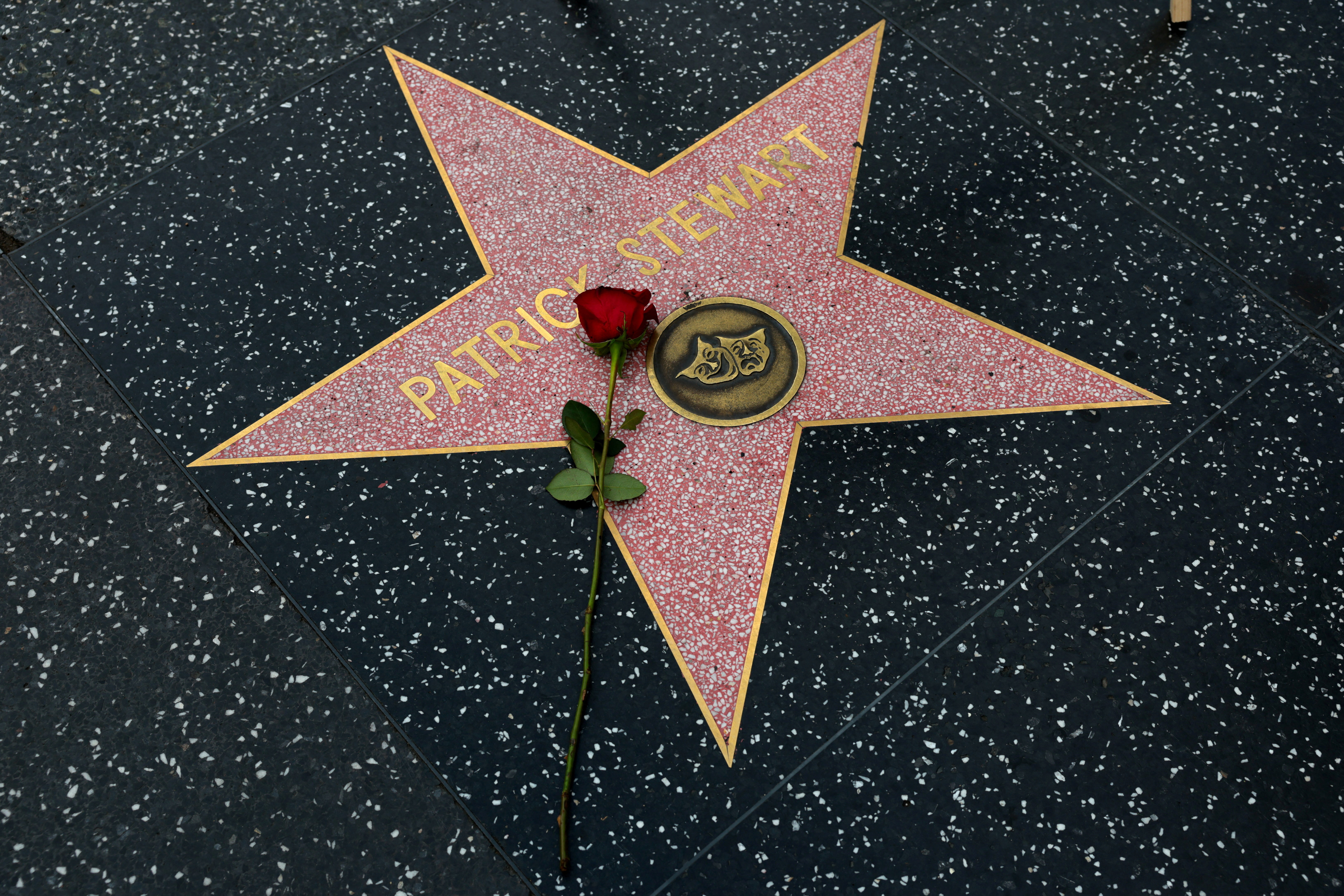 A flower lies on The Hollywood Walk of Fame star of the late actor Patrick Stewart in Los Angeles, California, US, October 29, 2026. REUTERS/Evelyn Hockstein       TPX IMAGES OF THE DAY