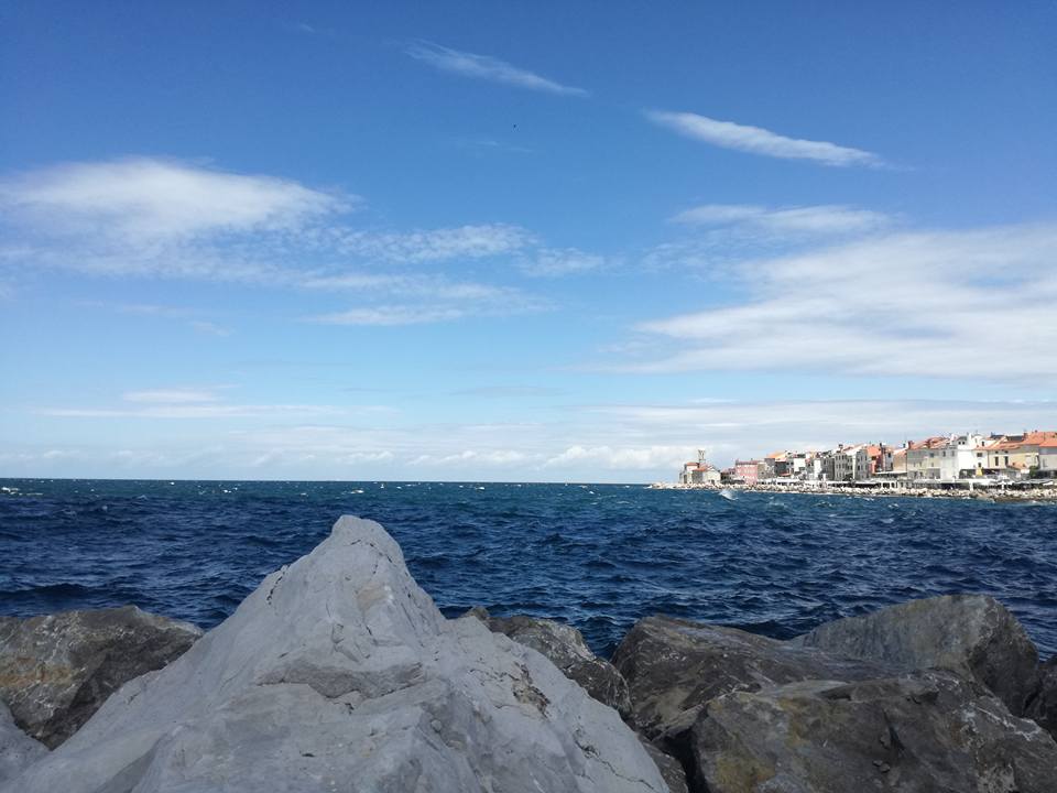 19553848_10212304621797872_4259040886141507275_n