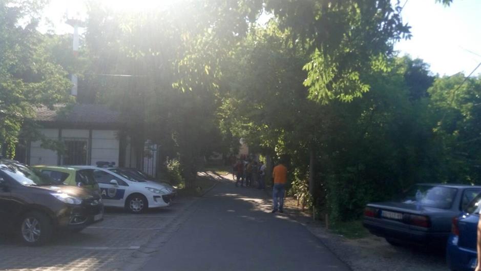 19807975_10158764445950411_996133580_o