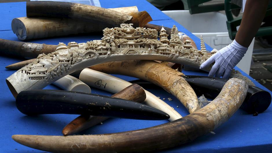 2015-05-29T065723Z_1814686706_GF10000111015_RTRMADP_3_CHINA-IVORY