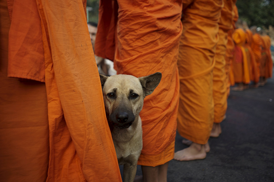 REUTERS/Athit Perawongmetha