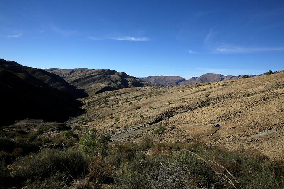 REUTERS/David Mercado