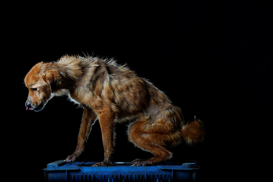 REUTERS/Carlos Garcia