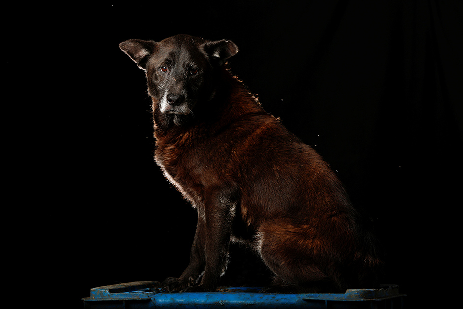 REUTERS/Carlos Garcia