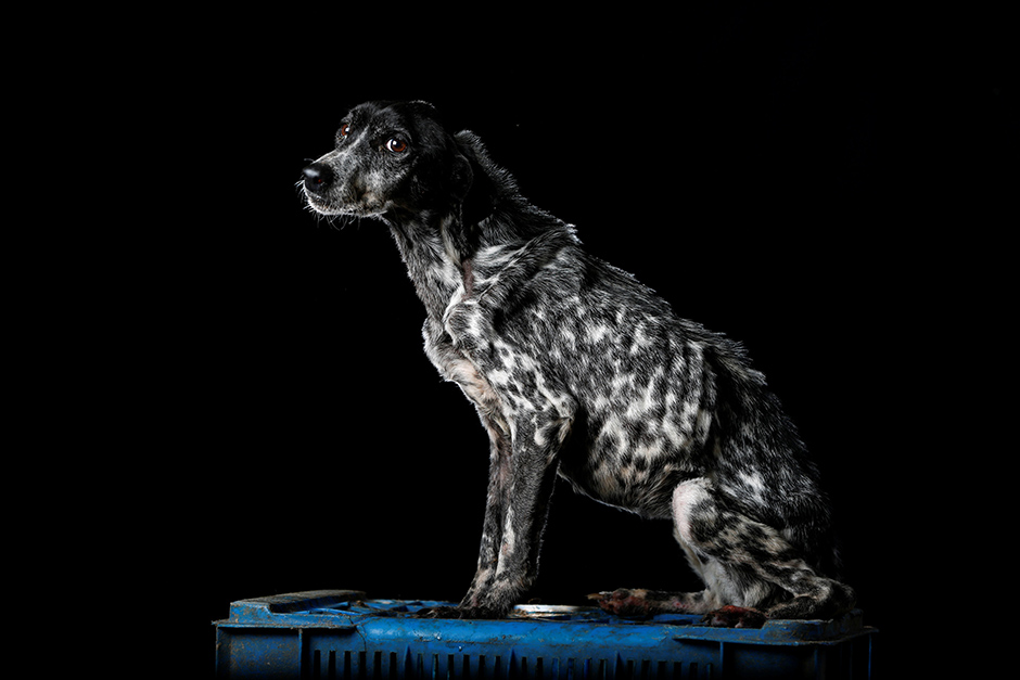 REUTERS/Carlos Garcia