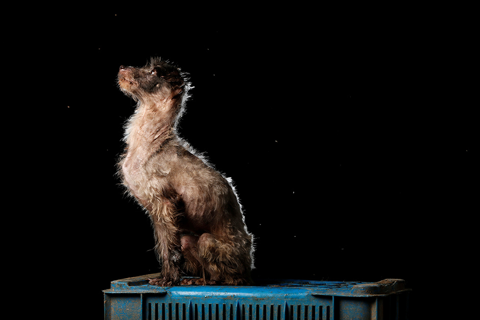 REUTERS/Carlos Garcia