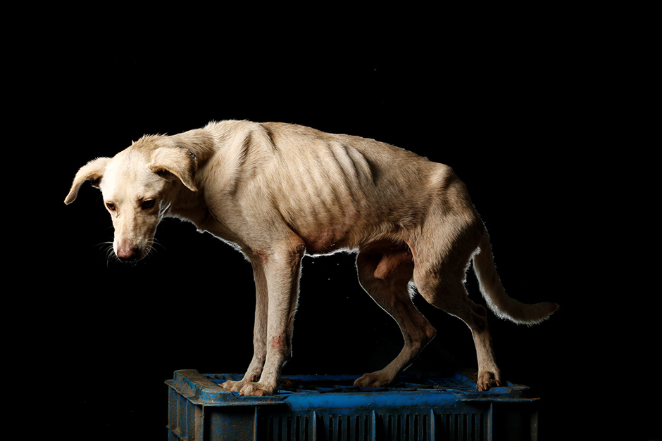 REUTERS/Carlos Garcia