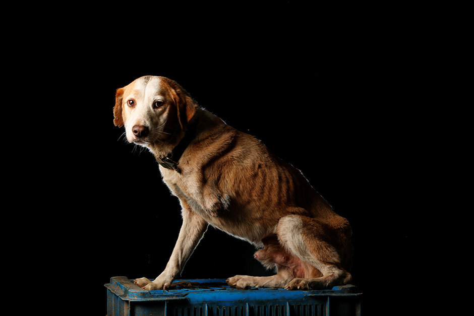 REUTERS/Carlos Garcia