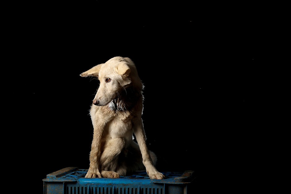 REUTERS/Carlos Garcia