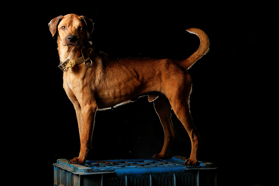 REUTERS/Carlos Garcia