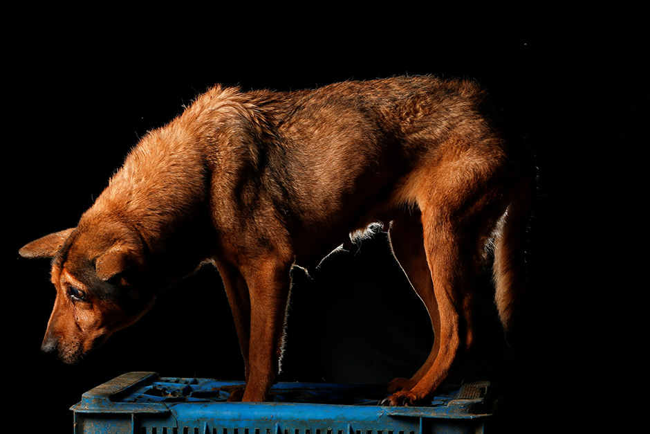 REUTERS/Carlos Garcia