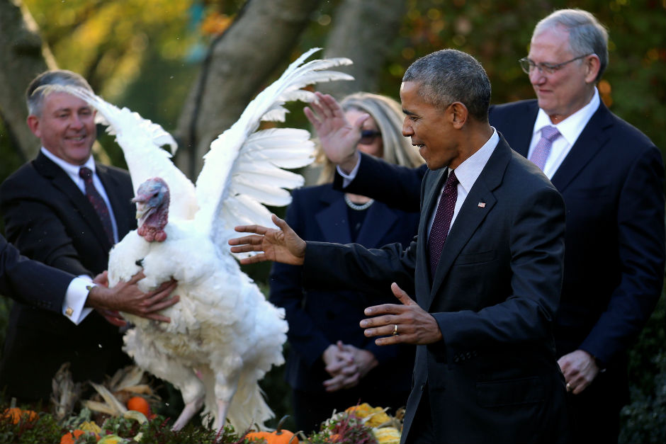 2016-11-23T201239Z_1333590008_RC1635AE6720_RTRMADP_3_USA-THANKSGIVING-OBAMA