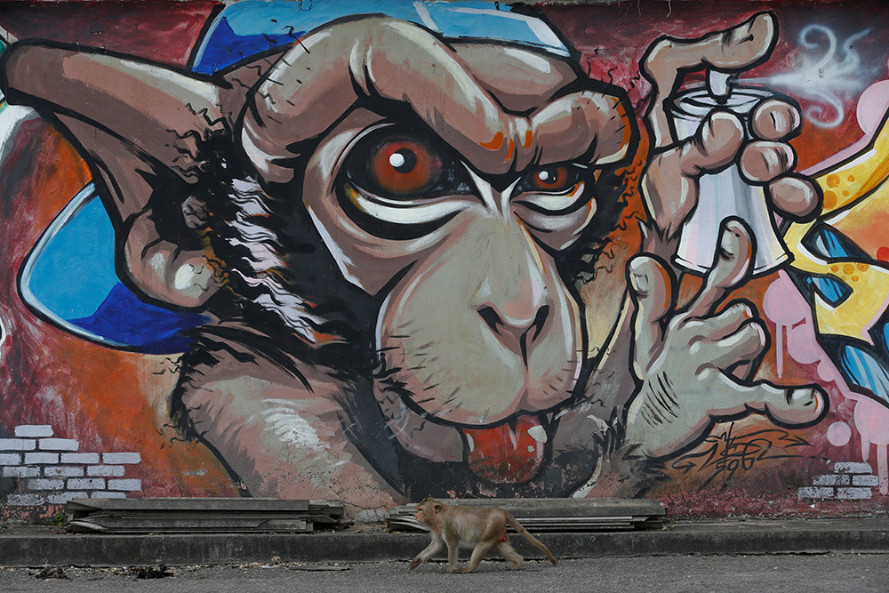 2016-11-27T062403Z_1893403458_RC1CCDB73680_RTRMADP_3_THAILAND-FESTIVAL-MONKEYS