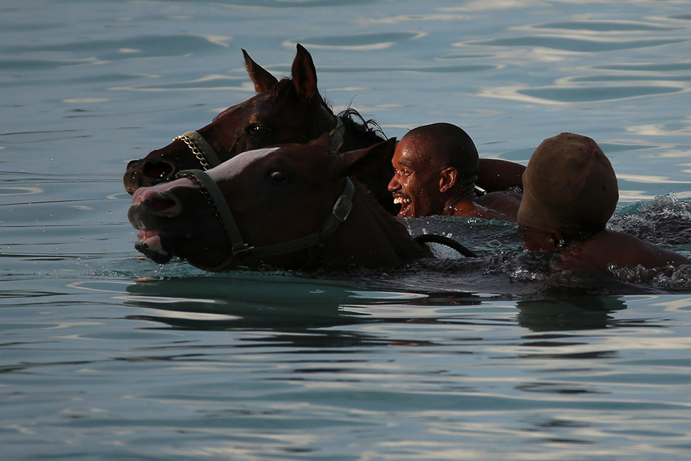2016-12-01T140800Z_1555510180_RC125CD6F820_RTRMADP_3_BARBADOS-HORSES
