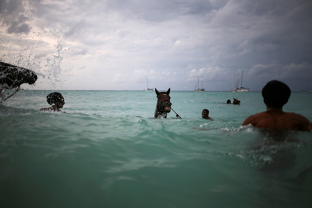 2016-12-01T141240Z_1826146430_RC112995C100_RTRMADP_3_BARBADOS-HORSES