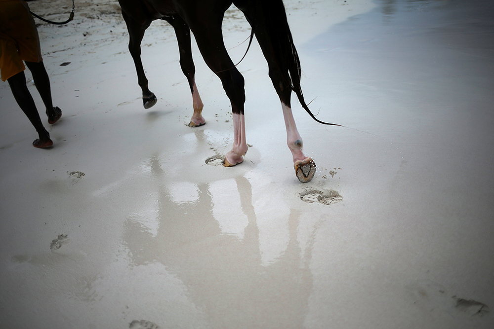 Reuters/Adrees Latif