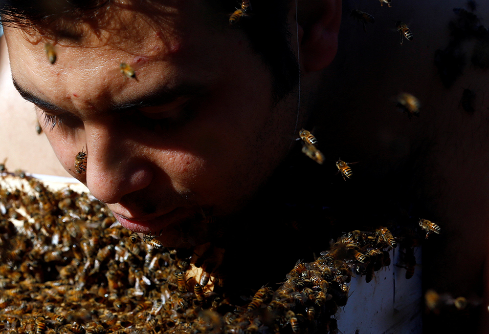 2016-12-02T160655Z_1775615720_RC13BC796830_RTRMADP_3_EGYPT-CULTURE