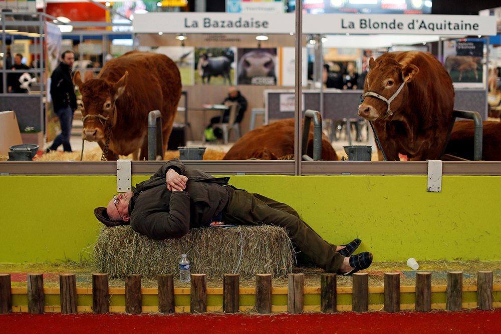 REUTERS/Benoit Tessier