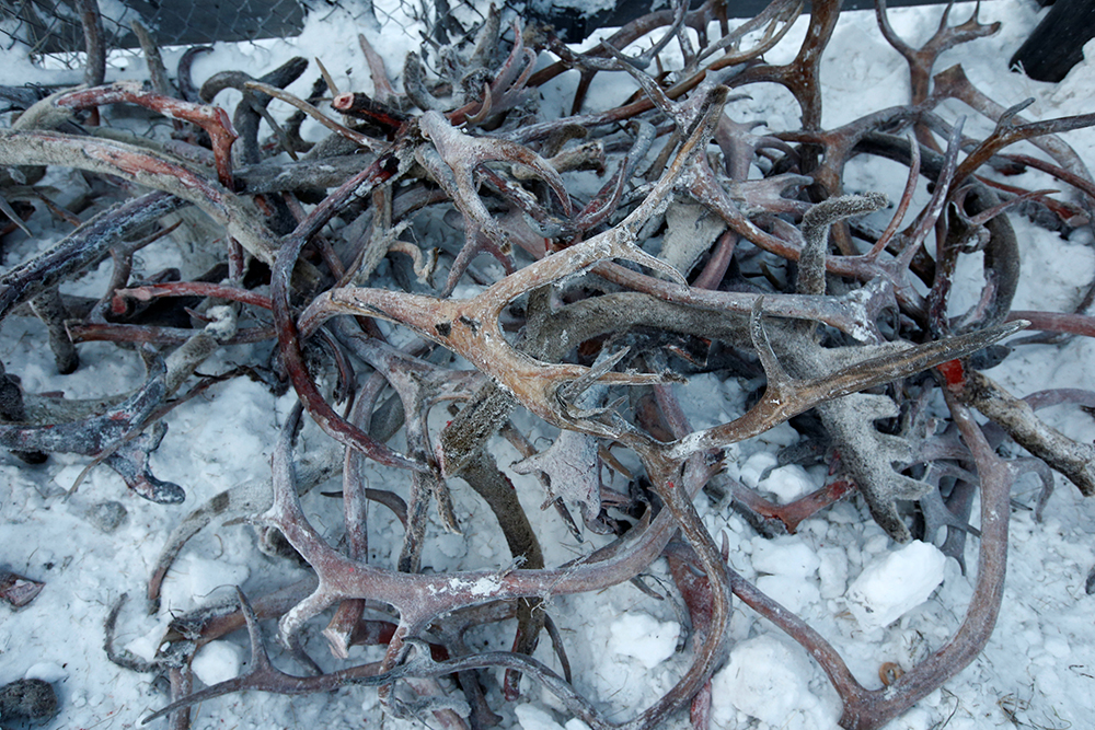 Reuters/Sergei Karpukhin