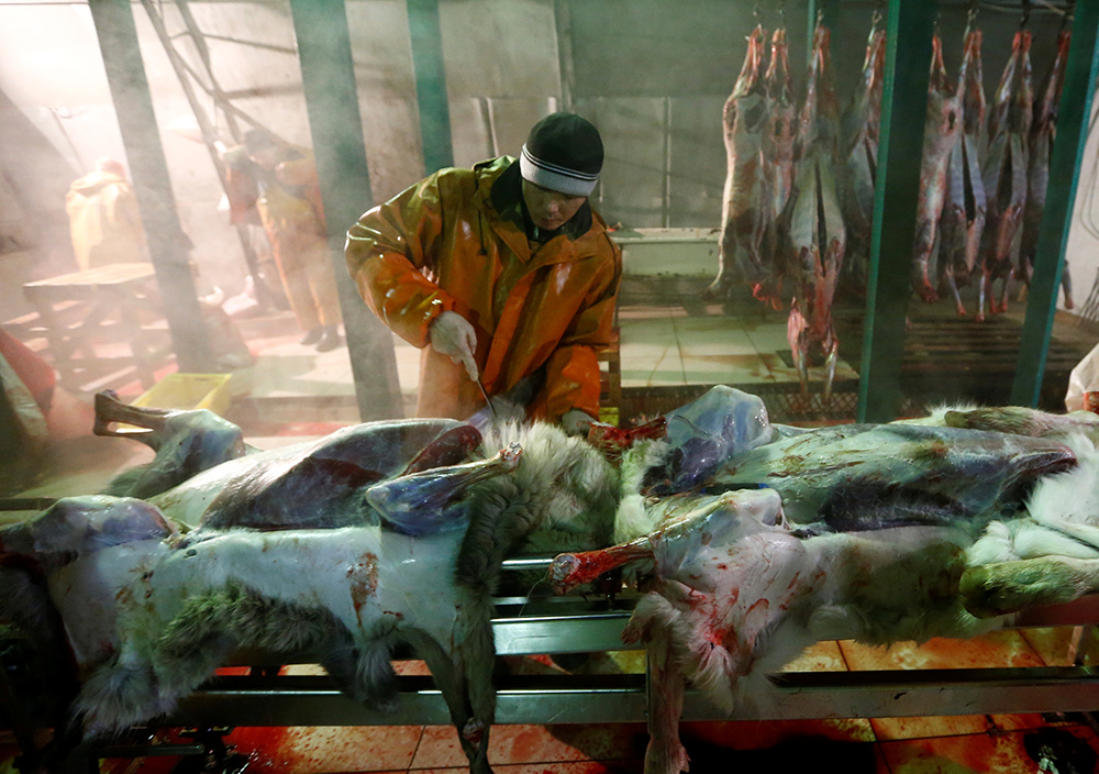 Reuters/Sergei Karpukhin