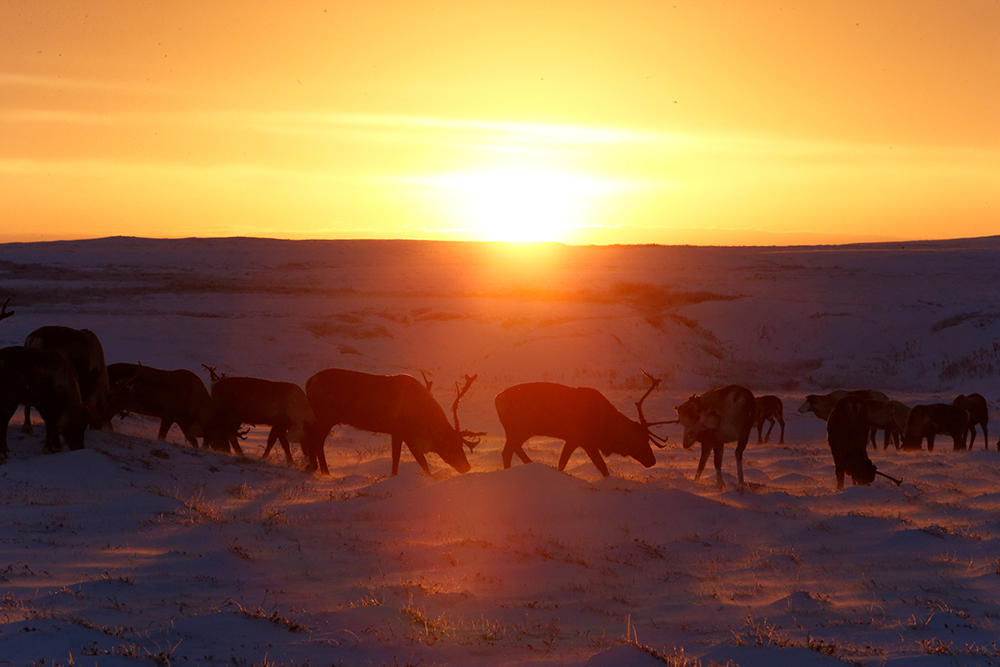 Reuters/Sergei Karpukhin