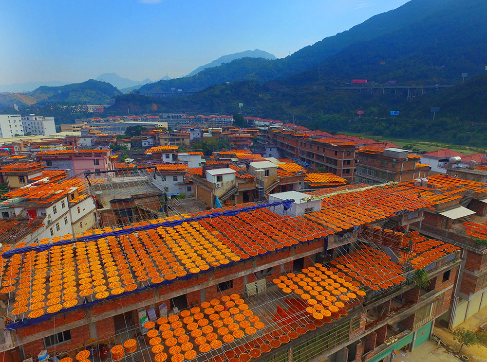 2016-12-16T044809Z_420292340_RC1E2E1316F0_RTRMADP_3_CHINA-ODDLY