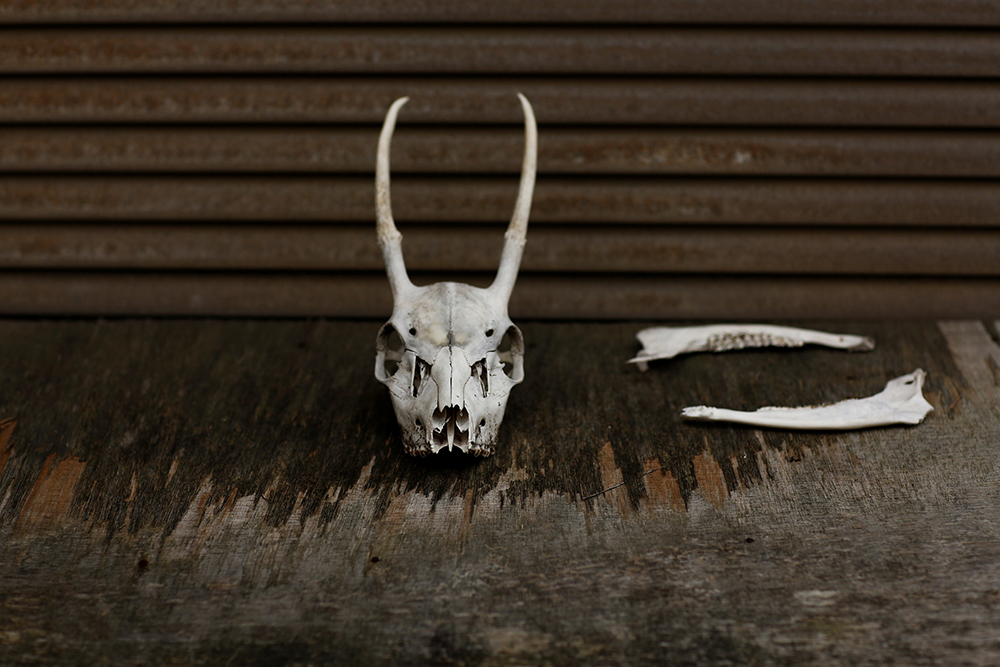 2016-12-22T140711Z_431334475_RC1F403E94D0_RTRMADP_3_JAPAN-WOMEN-HUNTERS