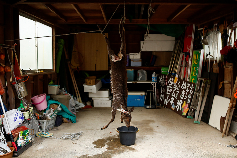 REUTERS/Thomas Peter