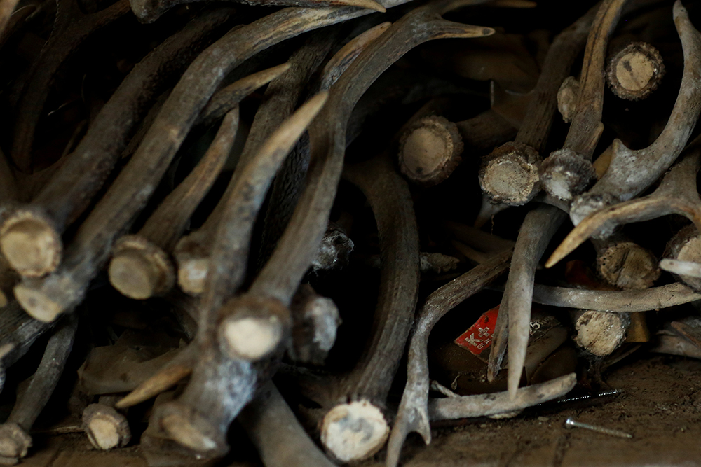 2016-12-22T140843Z_1743664465_RC18101E7CF0_RTRMADP_3_JAPAN-WOMEN-HUNTERS