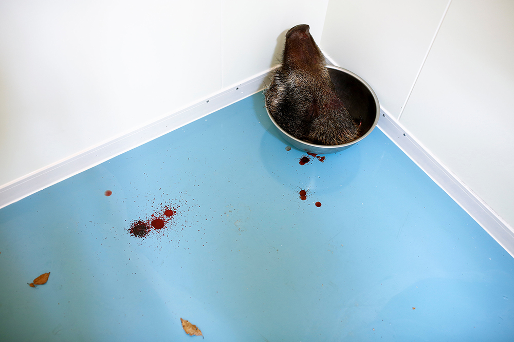 REUTERS/Thomas Peter