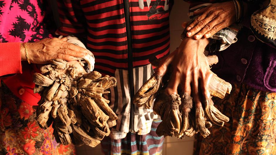 20160131_2_14053389_5059310