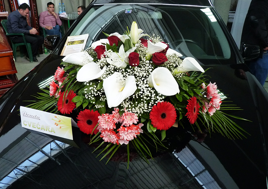 ANADOLIJA/Jelena Trajković